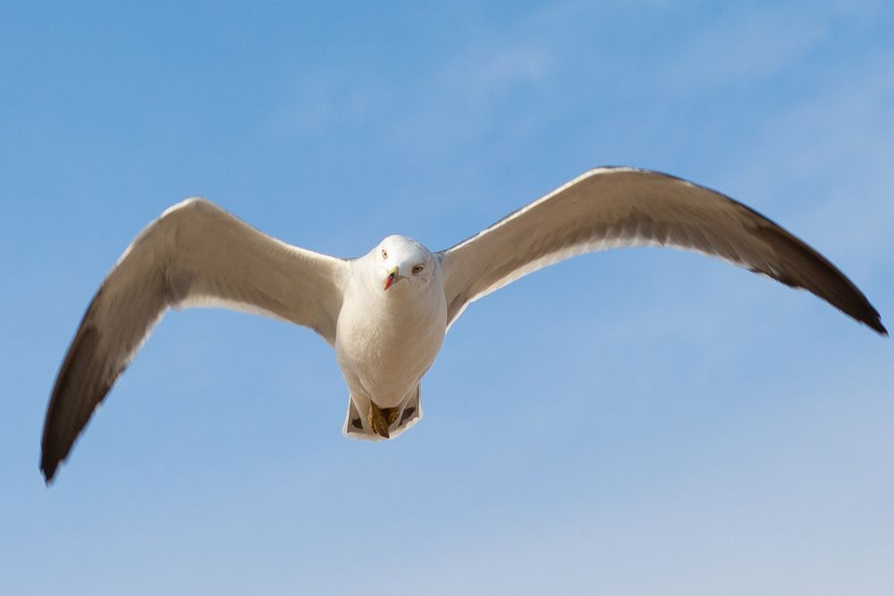 Photograph by Юлия Усольцева