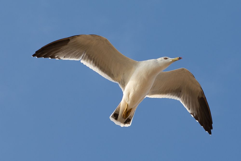 Photograph by Юлия Усольцева