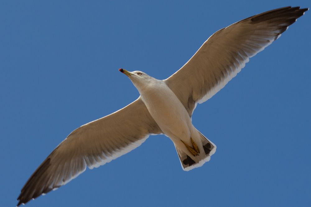 Photograph by Юлия Усольцева