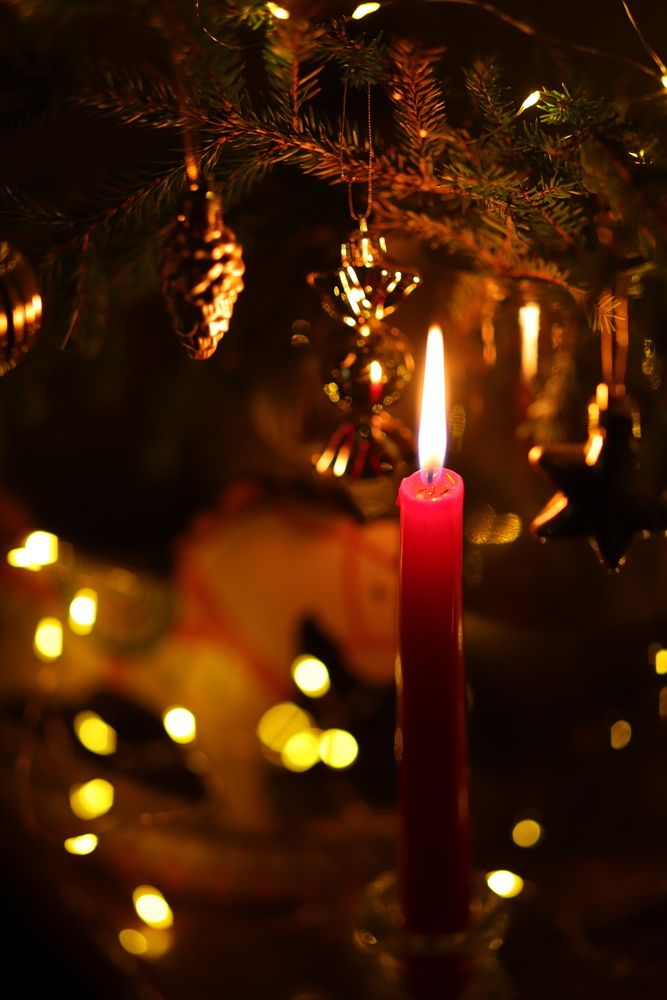 Photograph by Светлана Герасимчук