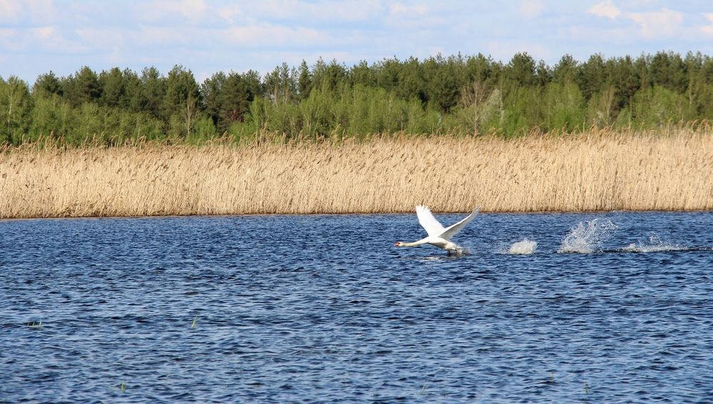 Photograph by Ольга Попченко