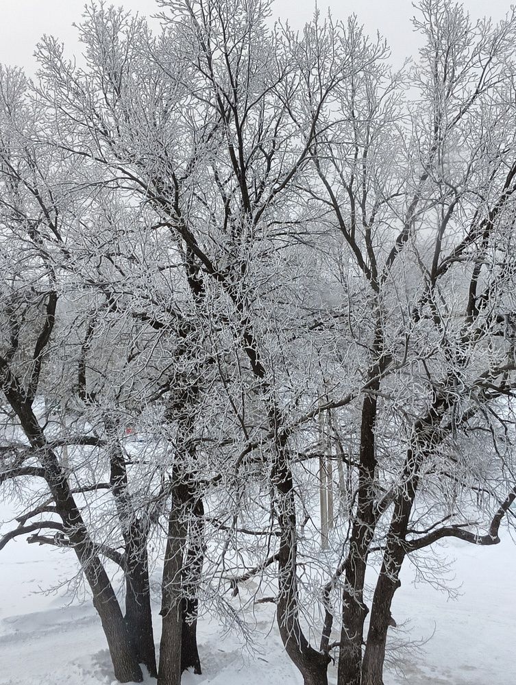 Photograph by Елена Чурынина