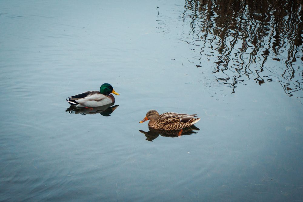 Photograph by Анастасия Карпова