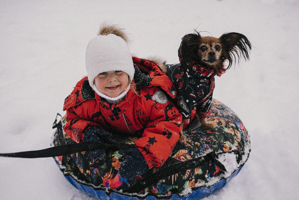 Фотография автора Дмитрий Гусалов