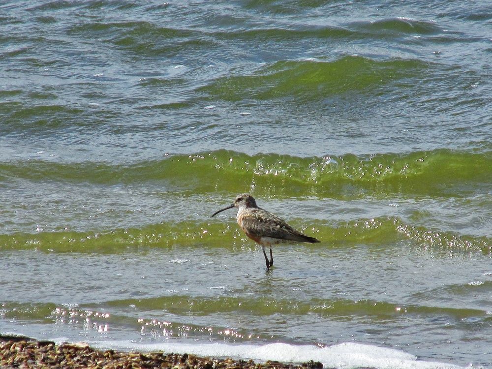 Photograph by Елизавета Бордюгова