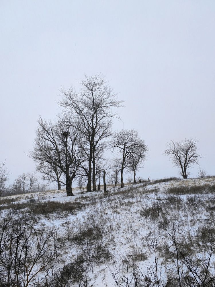 Photograph by Ульяна Кузьмина