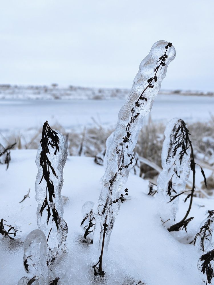 Photograph by Ульяна Кузьмина