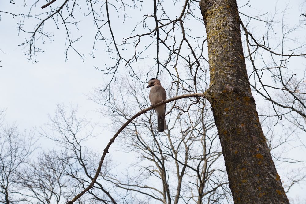 Photograph by Денис