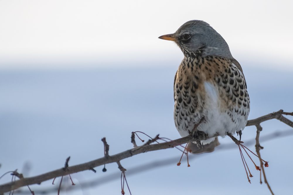 Photograph by Странник