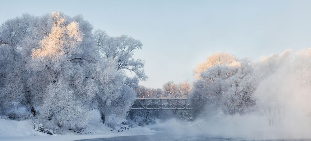 Фотография автора Мозжухин Максим