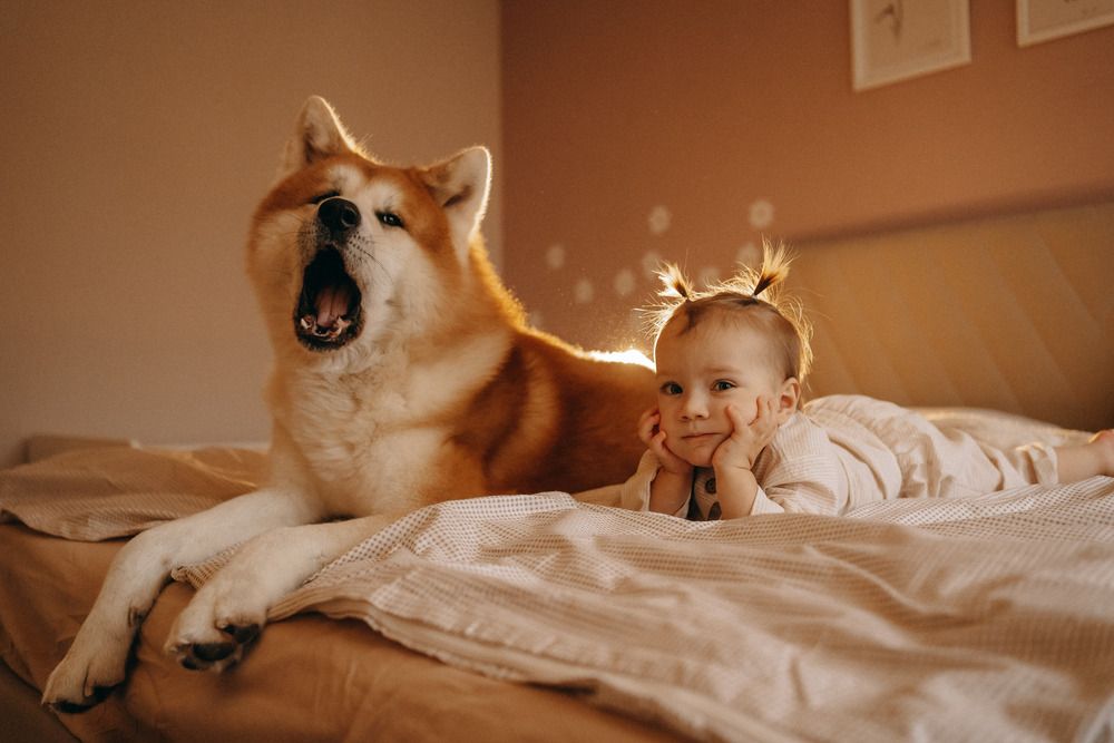 Photograph by Дарья Чернякова