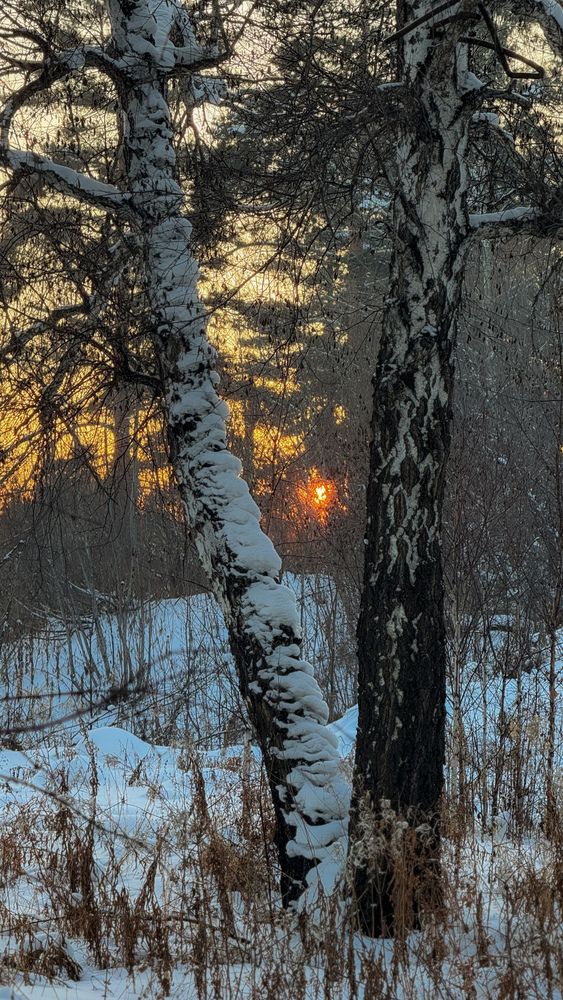 Photograph by Марина Мишутина