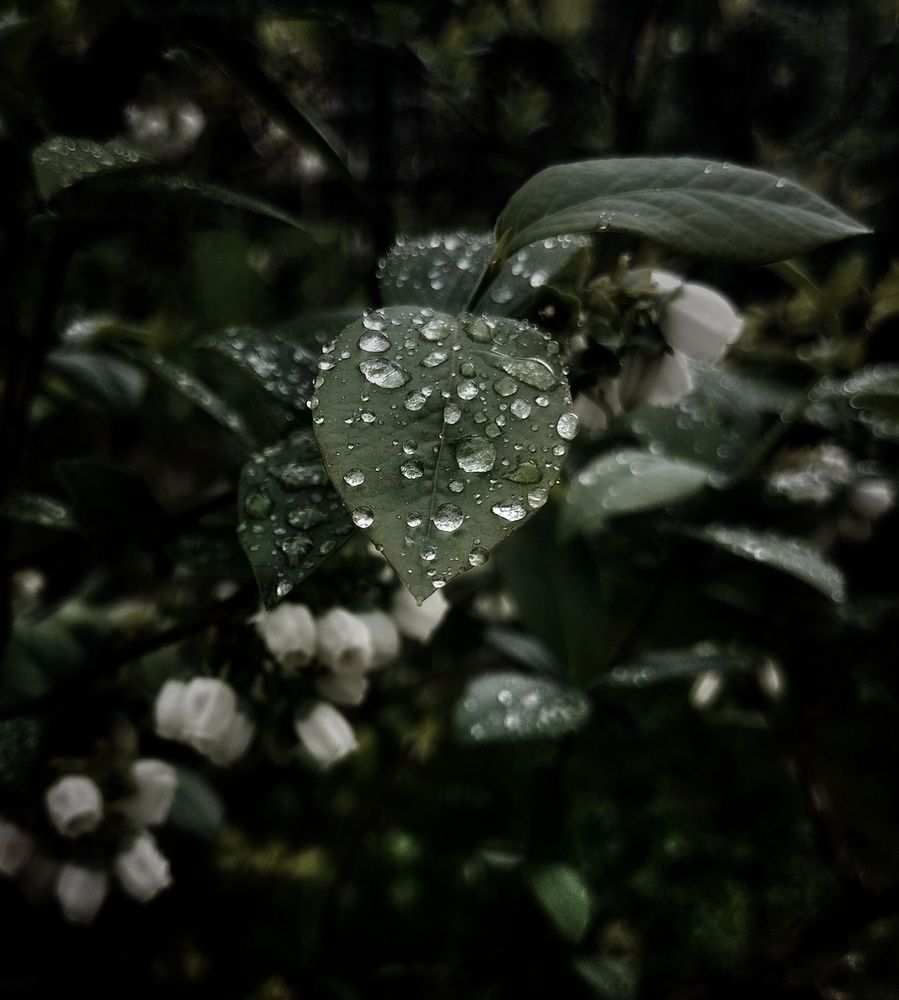Photograph by Людмила М