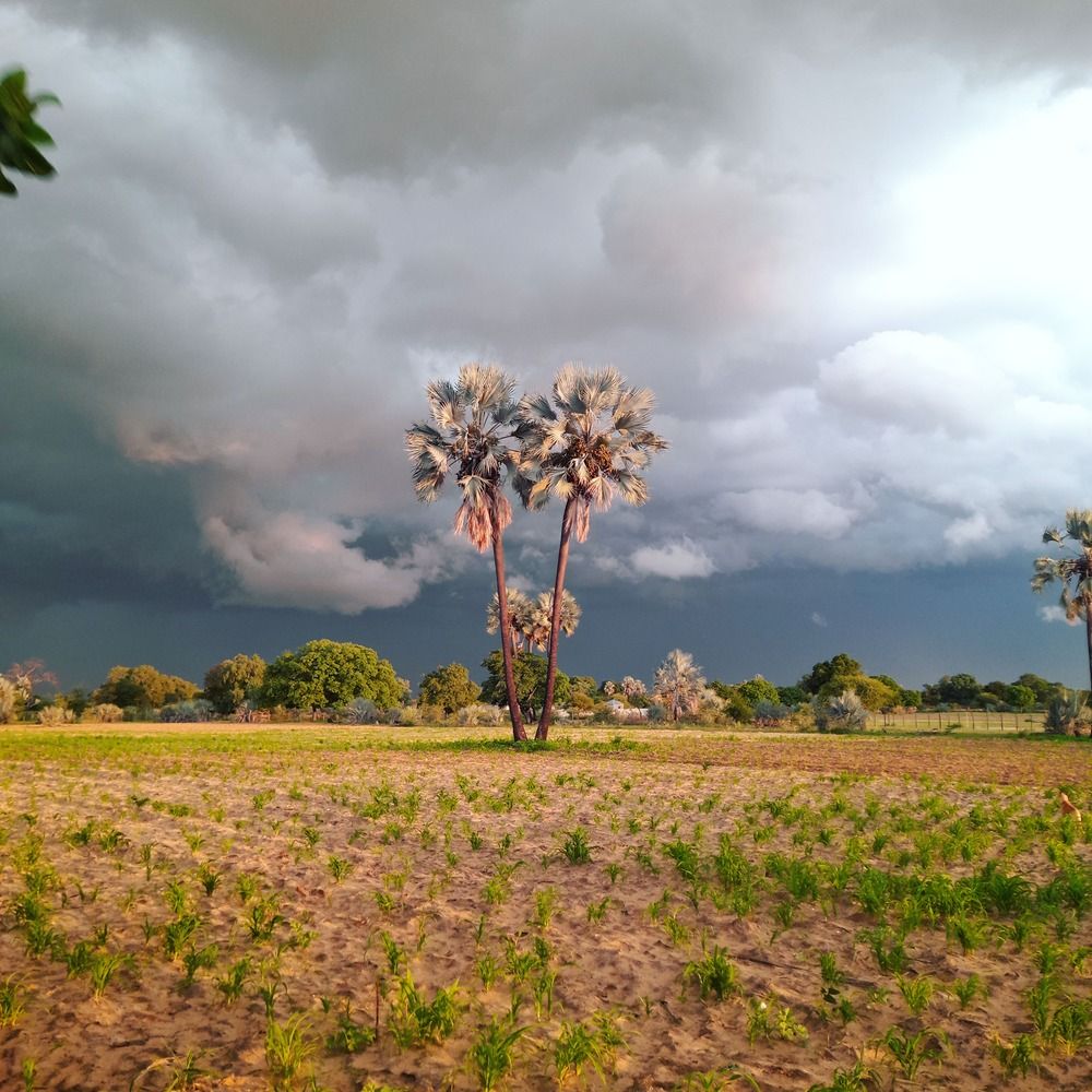 Photograph by Ngeshalulu Fanuel