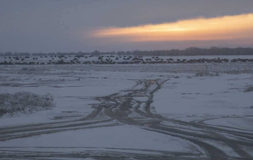 Фотография автора Дарья Юсарева