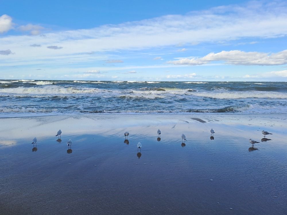Photograph by Ирина Савельева