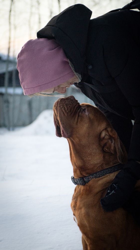 Фотография автора Геннадий Ломеко