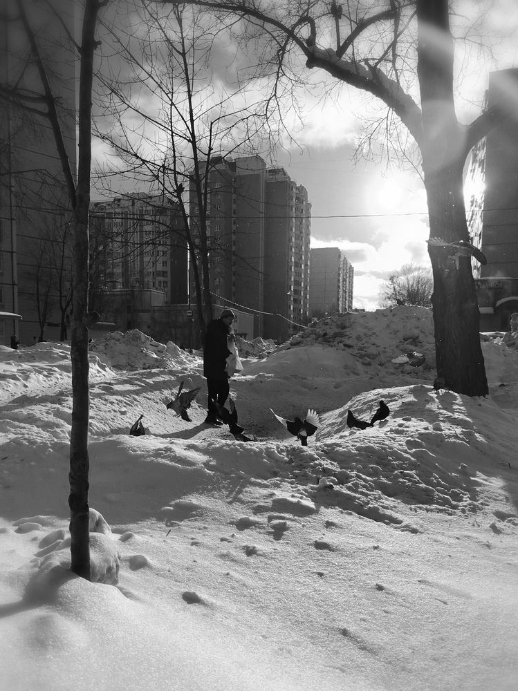 Photograph by Анастасия Туркина