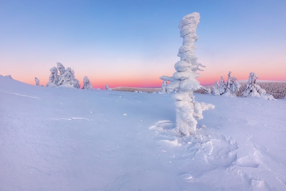 Photograph by Petr Fiala