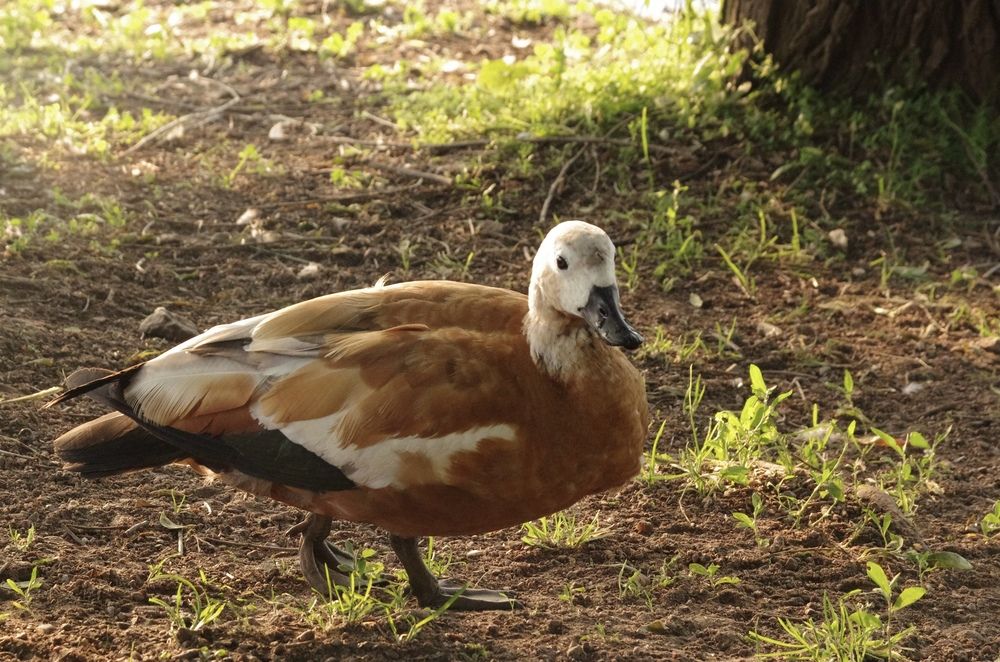 Photograph by Кирилл Корякин