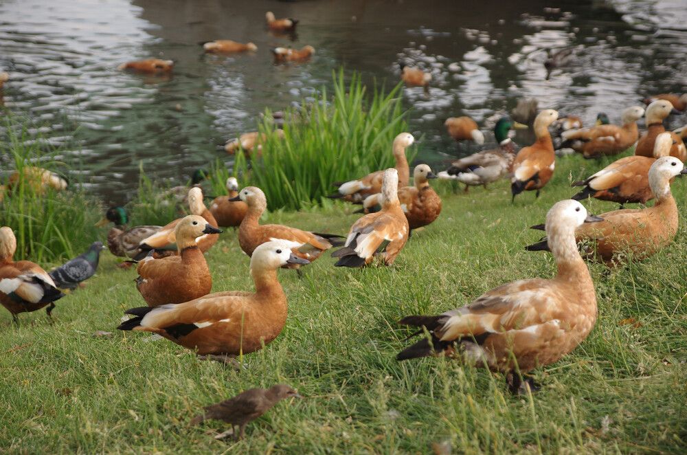 Photograph by Кирилл Корякин