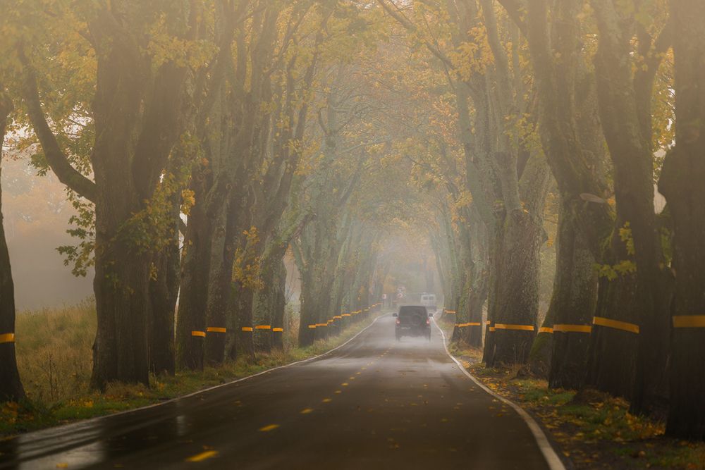 Photograph by Лариса Дука