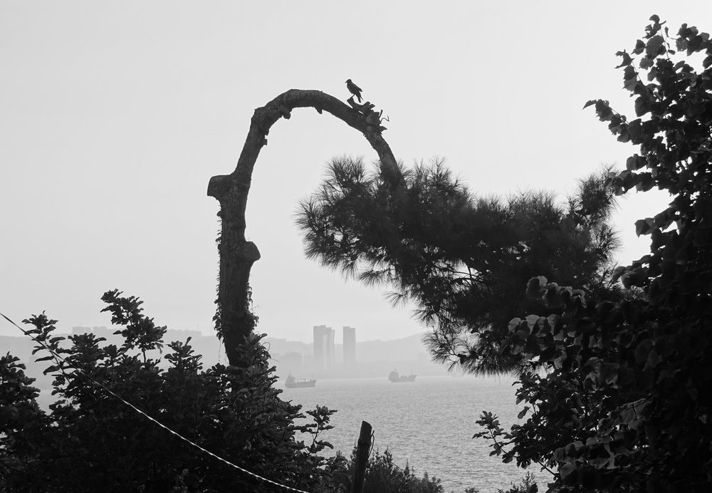 Photograph by Жанна Валиева