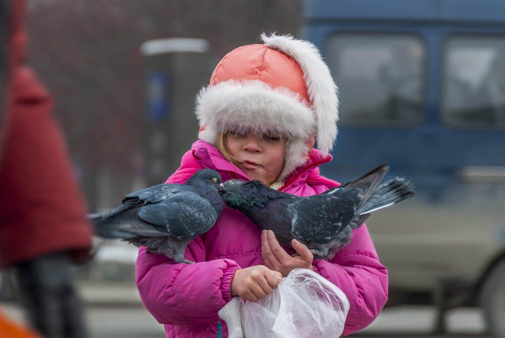 Photograph by Вячеслав ИВАНОВ