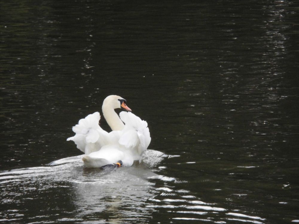 Photograph by Лариса Неудачина