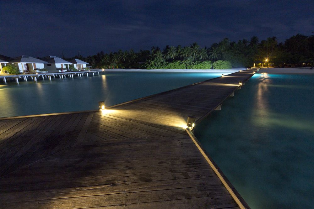 Фотография автора Максим Мураков