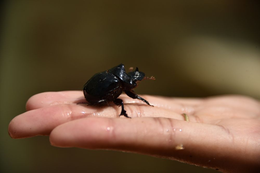 Фотография автора Camilo Martinez