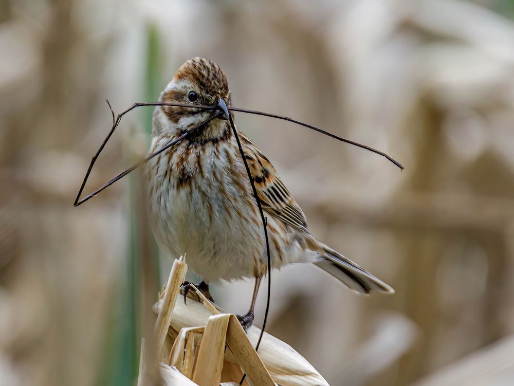 Photograph by Волынский Виктор