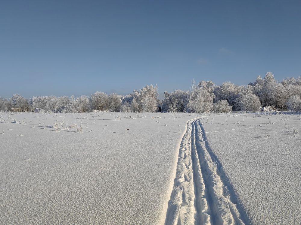 Photograph by Галина Беляева