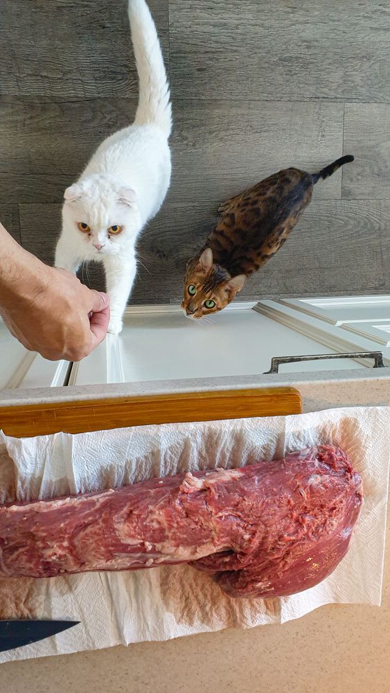 Photograph by Максим Мураков