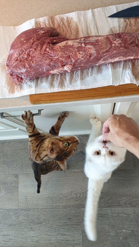 Photograph by Максим Мураков