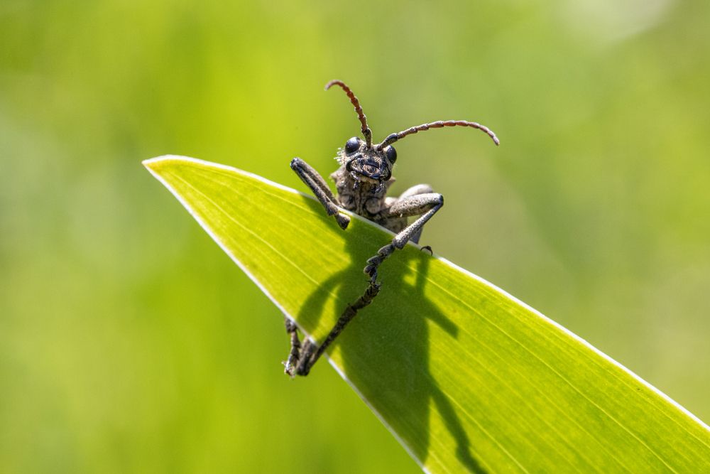 Photograph by Максим Мураков