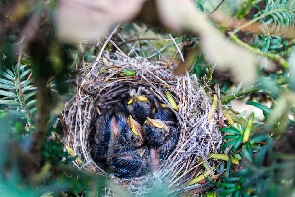 Photograph by Евгения Флиорчук