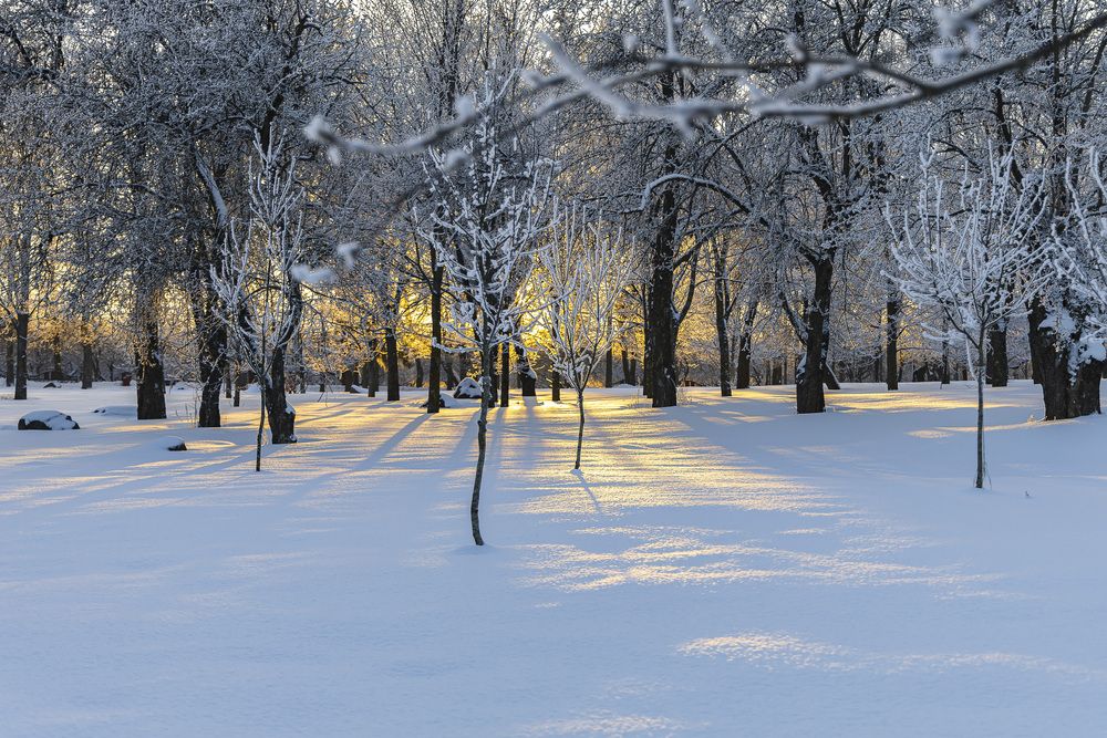 Фотография автора Вадим Копилец
