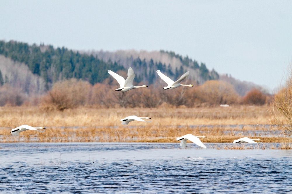 Photograph by Глеб Буланов