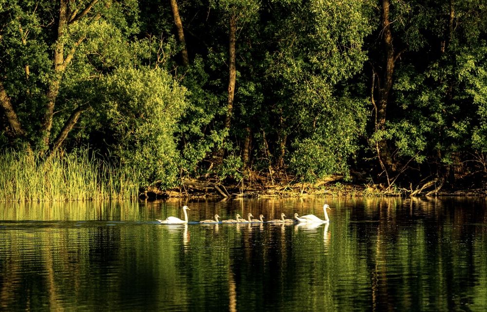 Photograph by Ирина Бабич