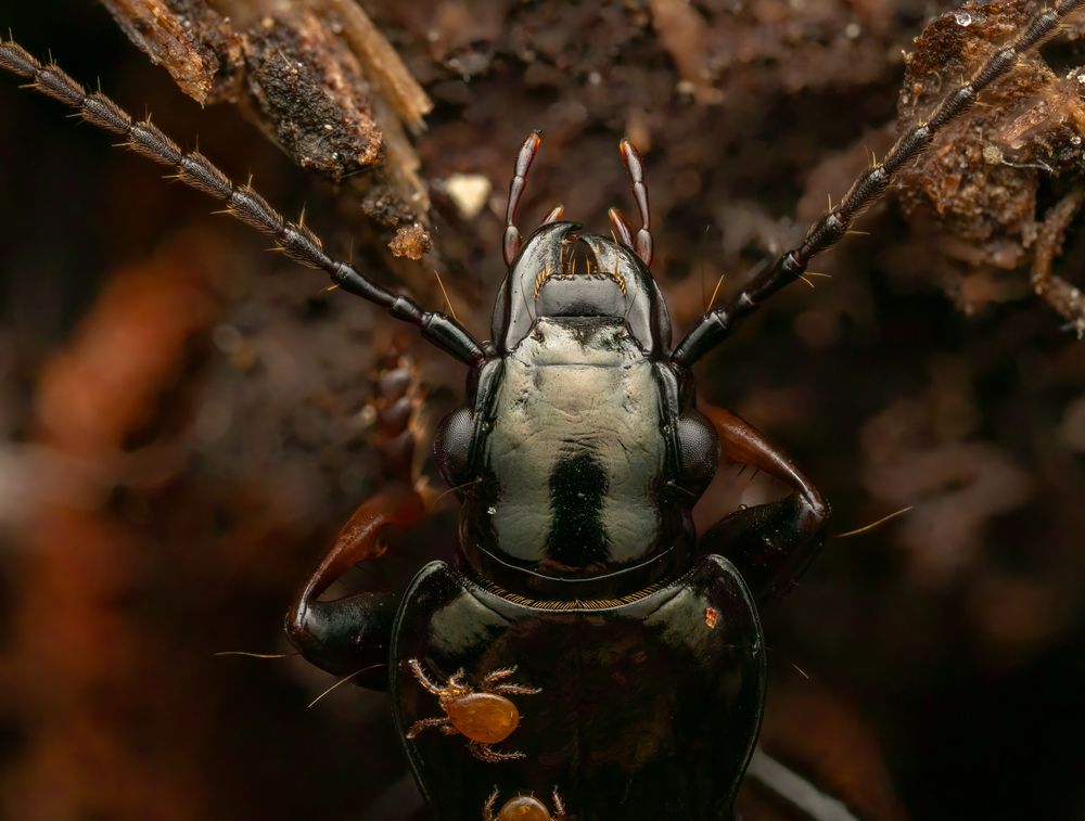 Photograph by Глеб Коровко