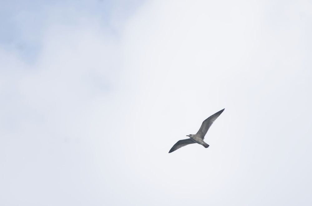 Photograph by Кирилл Корякин