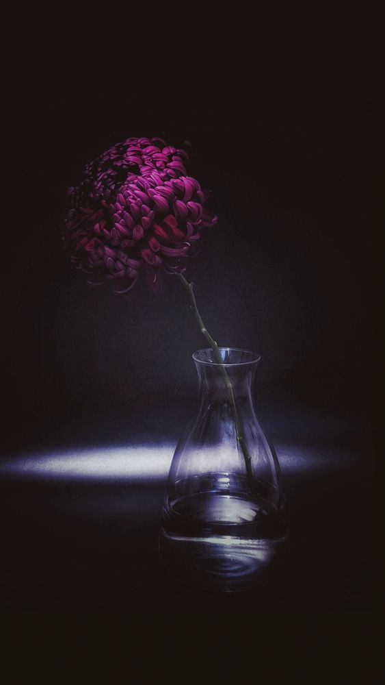 Photograph by Олеся