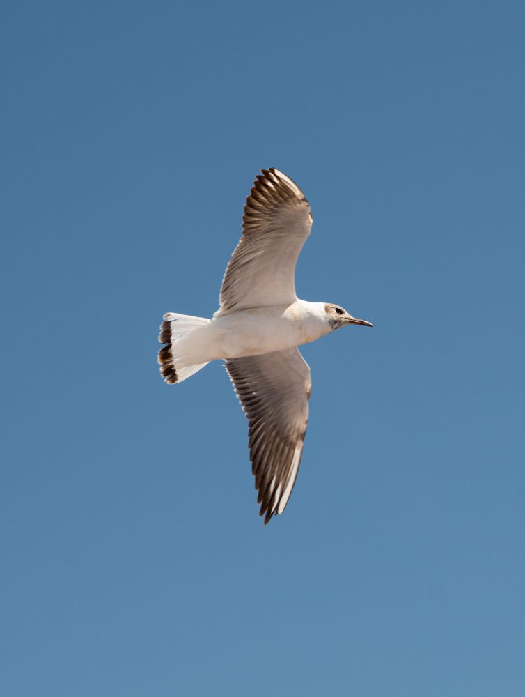 Photograph by Андрей Чуйков