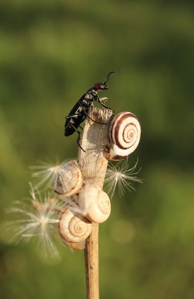 Photograph by Любовь Войводич