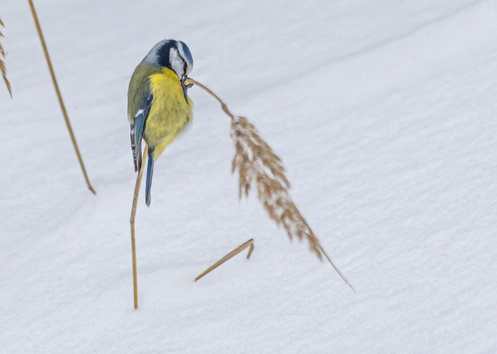Photograph by Екатерина Счасная