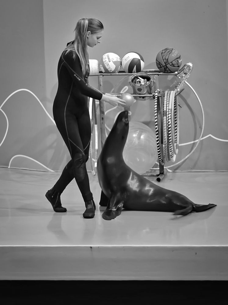 Photograph by Михаил Саидов