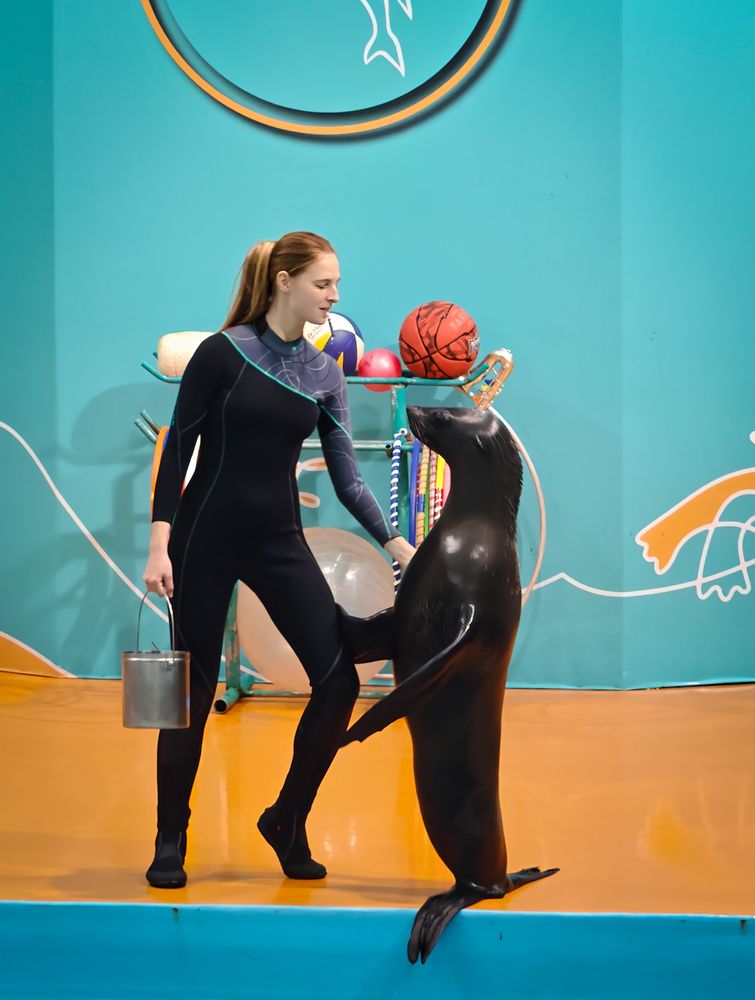 Photograph by Михаил Саидов