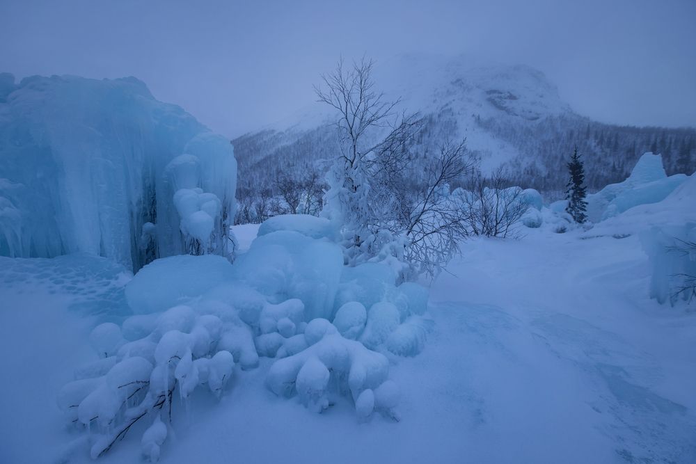 Фотография автора Онучина Юлия