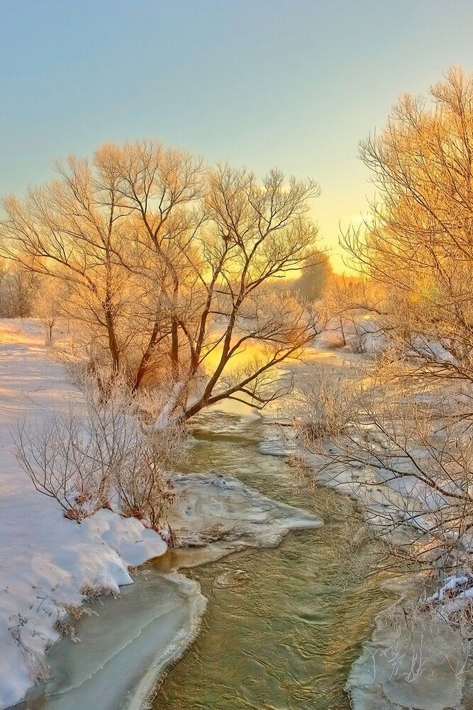 Весенняя река